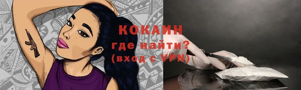 мдпв Кулебаки