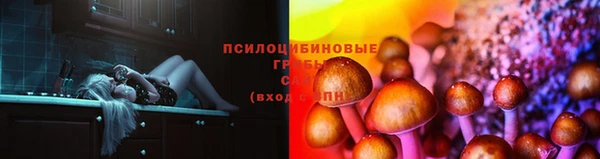 мдпв Кулебаки