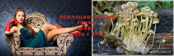 мдпв Кулебаки