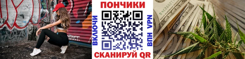 Купить закладки  Нерчинск  Шишки марихуана SATIVA & INDICA 